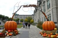 Quebec, Halloweenschmuck &ndash; &copy; Frank Nimschowski (Eberhardt TRAVEL)