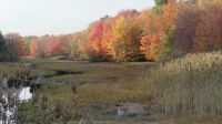 am Rand von Kennebunkport &ndash; &copy; Frank Nimschowski (Eberhardt TRAVEL)