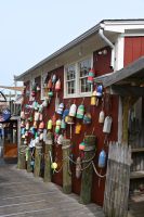 Ost-Kanada & USA - Bar Harbor (13) &ndash; &copy; Franziska Barthel (Eberhardt TRAVEL)
