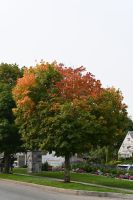 Ost-Kanada & USA - Bar Harbor (17) &ndash; &copy; Franziska Barthel (Eberhardt TRAVEL)