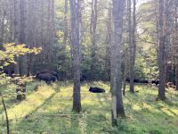 Omega NP, Montebello &ndash; &copy; Mareike Schmidt (Eberhardt TRAVEL)