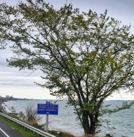 on the road (7) &ndash; &copy; Marcus Hasselhorst (Eberhardt TRAVEL)