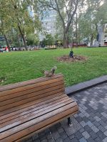 Im Stadtpark (4) &ndash; &copy; Marcus Hasselhorst (Eberhardt TRAVEL)