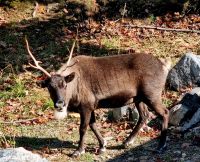Wildlife im Omega Parc (22) &ndash; &copy; Marcus Hasselhorst (Eberhardt TRAVEL)