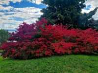 Baddeck (2) &ndash; &copy; Marcus Hasselhorst (Eberhardt TRAVEL)