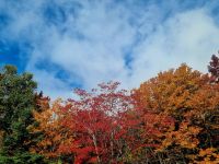 Indian Summer (3) &ndash; &copy; Marcus Hasselhorst (Eberhardt TRAVEL)