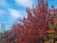 Indian Summer (1) &ndash; &copy; Marcus Hasselhorst (Eberhardt TRAVEL)