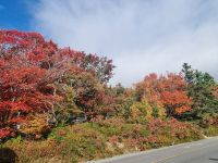 Indian Summer (15) &ndash; &copy; Marcus Hasselhorst (Eberhardt TRAVEL)
