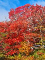Indian Summer (16) &ndash; &copy; Marcus Hasselhorst (Eberhardt TRAVEL)