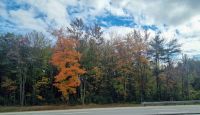 Countryside Maine (3) &ndash; &copy; Marcus Hasselhorst (Eberhardt TRAVEL)