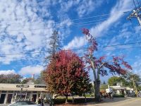 Countryside Maine (14) &ndash; &copy; Marcus Hasselhorst (Eberhardt TRAVEL)