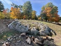 Ost-Kanada zum Indian Summer - Omega Wildpark  &ndash; &copy; Heike Wagner (Eberhardt TRAVEL)