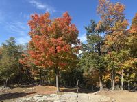 Ost-Kanada zum Indian Summer - Omega Wildpark  &ndash; &copy; Heike Wagner (Eberhardt TRAVEL)