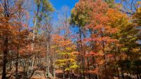 Indian Summer &ndash; &copy; Natalie Hady (Eberhardt TRAVEL)