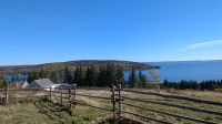 Ausblicke vom Highland Village Museum  &ndash; &copy; Natalie Hady (Eberhardt TRAVEL)