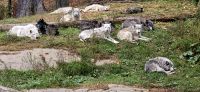 Omega Tierpark (11) &ndash; &copy; Marcus Hasselhorst (Eberhardt TRAVEL)