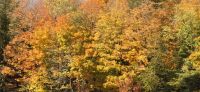Indian Summer (3) &ndash; &copy; Marcus Hasselhorst (Eberhardt TRAVEL)