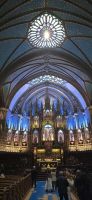 Notre dame (2) &ndash; &copy; Marcus Hasselhorst (Eberhardt TRAVEL)