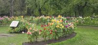 Bilder aus Halifax (3) &ndash; &copy; Marcus Hasselhorst (Eberhardt TRAVEL)