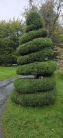 Bilder aus Halifax (14) &ndash; &copy; Marcus Hasselhorst (Eberhardt TRAVEL)