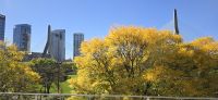 Eindrücke aus Boston (24) &ndash; &copy; Marcus Hasselhorst (Eberhardt TRAVEL)