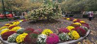 Philadelphia (17) &ndash; &copy; Marcus Hasselhorst (Eberhardt TRAVEL)