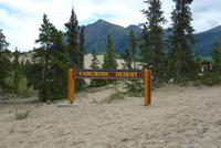 Carcross Desert &ndash; &copy; René Wächtler (Eberhardt TRAVEL)