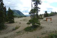 Carcross Desert &ndash; &copy; René Wächtler (Eberhardt TRAVEL)
