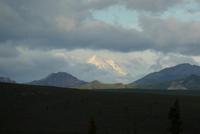 Im Denali NP &ndash; &copy; René Wächtler (Eberhardt TRAVEL)