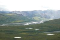 Im Denali NP &ndash; &copy; René Wächtler (Eberhardt TRAVEL)