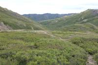 Im Denali NP &ndash; &copy; René Wächtler (Eberhardt TRAVEL)