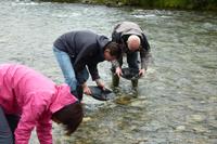 Beim Gold Panning &ndash; &copy; René Wächtler (Eberhardt TRAVEL)