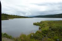 Im Denali NP &ndash; &copy; René Wächtler (Eberhardt TRAVEL)
