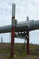 Trans-Alaska-Pipeline &ndash; &copy; René Wächtler (Eberhardt TRAVEL)