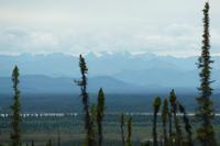 Panorama im Yukon &ndash; &copy; René Wächtler (Eberhardt TRAVEL)