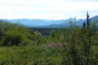 Panorama im Yukon &ndash; &copy; René Wächtler (Eberhardt TRAVEL)