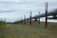 Trans-Alaska-Pipeline &ndash; &copy; René Wächtler (Eberhardt TRAVEL)