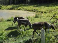 Omega Wildlife Park &ndash; &copy; Christina Schlawis (Eberhardt TRAVEL)