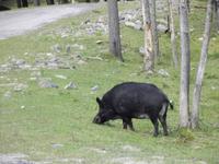Omega Wildlife Park &ndash; &copy; Christina Schlawis (Eberhardt TRAVEL)