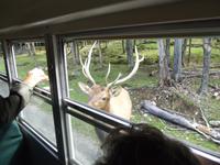 Omega Wildlife Park &ndash; &copy; Christina Schlawis (Eberhardt TRAVEL)