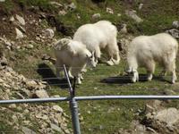 Omega Wildlife Park &ndash; &copy; Christina Schlawis (Eberhardt TRAVEL)