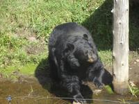 Omega Wildlife Park &ndash; &copy; Christina Schlawis (Eberhardt TRAVEL)