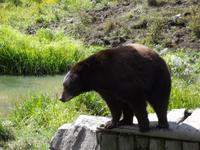 Omega Wildlife Park &ndash; &copy; Christina Schlawis (Eberhardt TRAVEL)