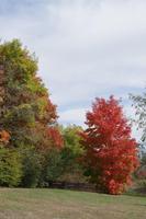 Indian Summer &ndash; &copy; Juliane Schwarze (Eberhardt TRAVEL)