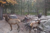 Omega Wildlife Park &ndash; &copy; Juliane Schwarze (Eberhardt TRAVEL)