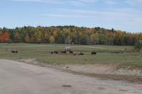 Omega Wildlife Park &ndash; &copy; Juliane Schwarze (Eberhardt TRAVEL)