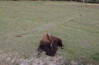 Omega Wildlife Park &ndash; &copy; Juliane Schwarze (Eberhardt TRAVEL)