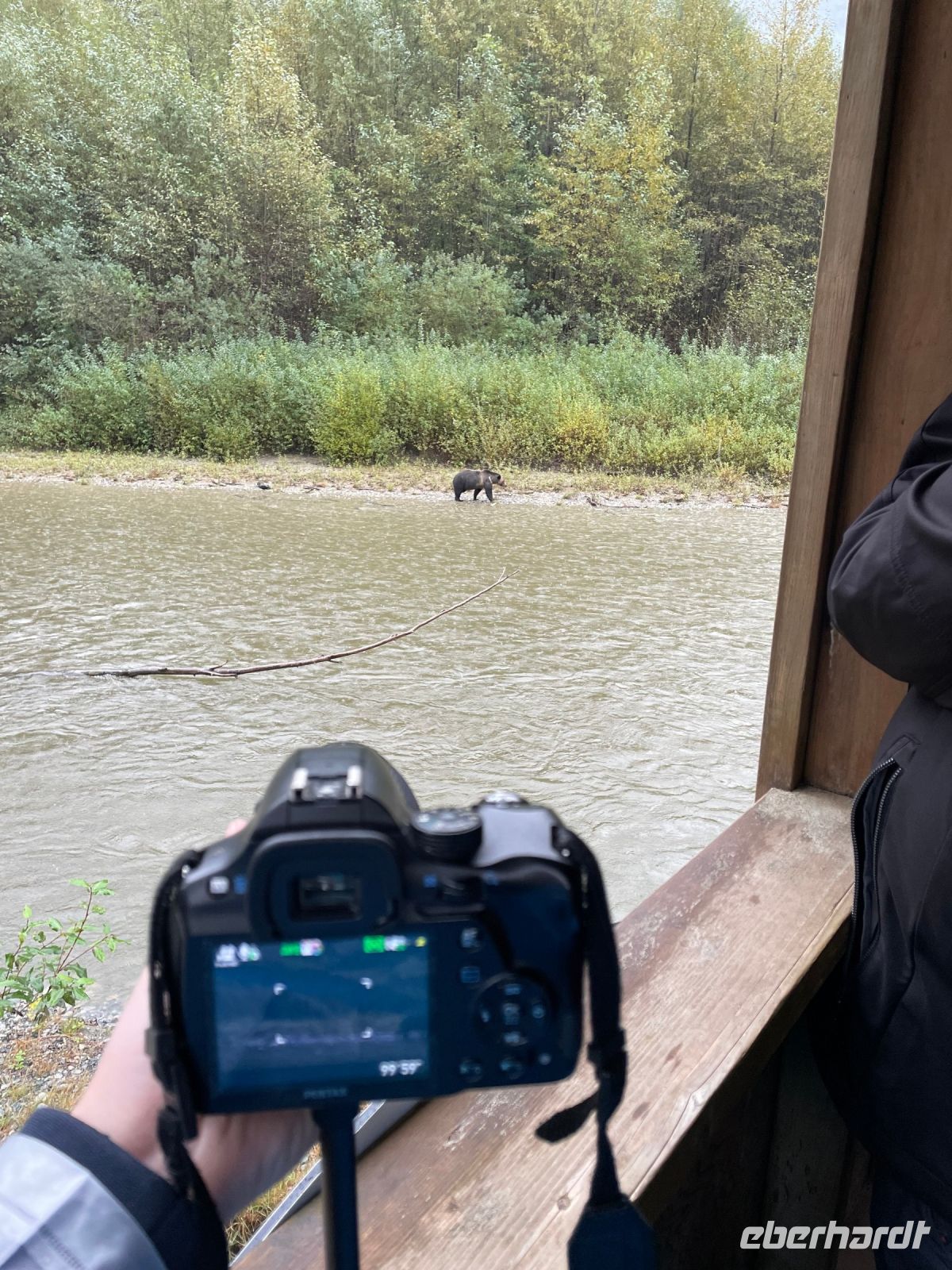 Bärenbeobachtungstour &ndash; &copy; Jacob Spangenberg (Eberhardt TRAVEL)