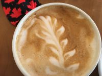 Kaffee Ahornblatt &ndash; &copy; Elisabeth Fox-Maerki (Eberhardt TRAVEL)