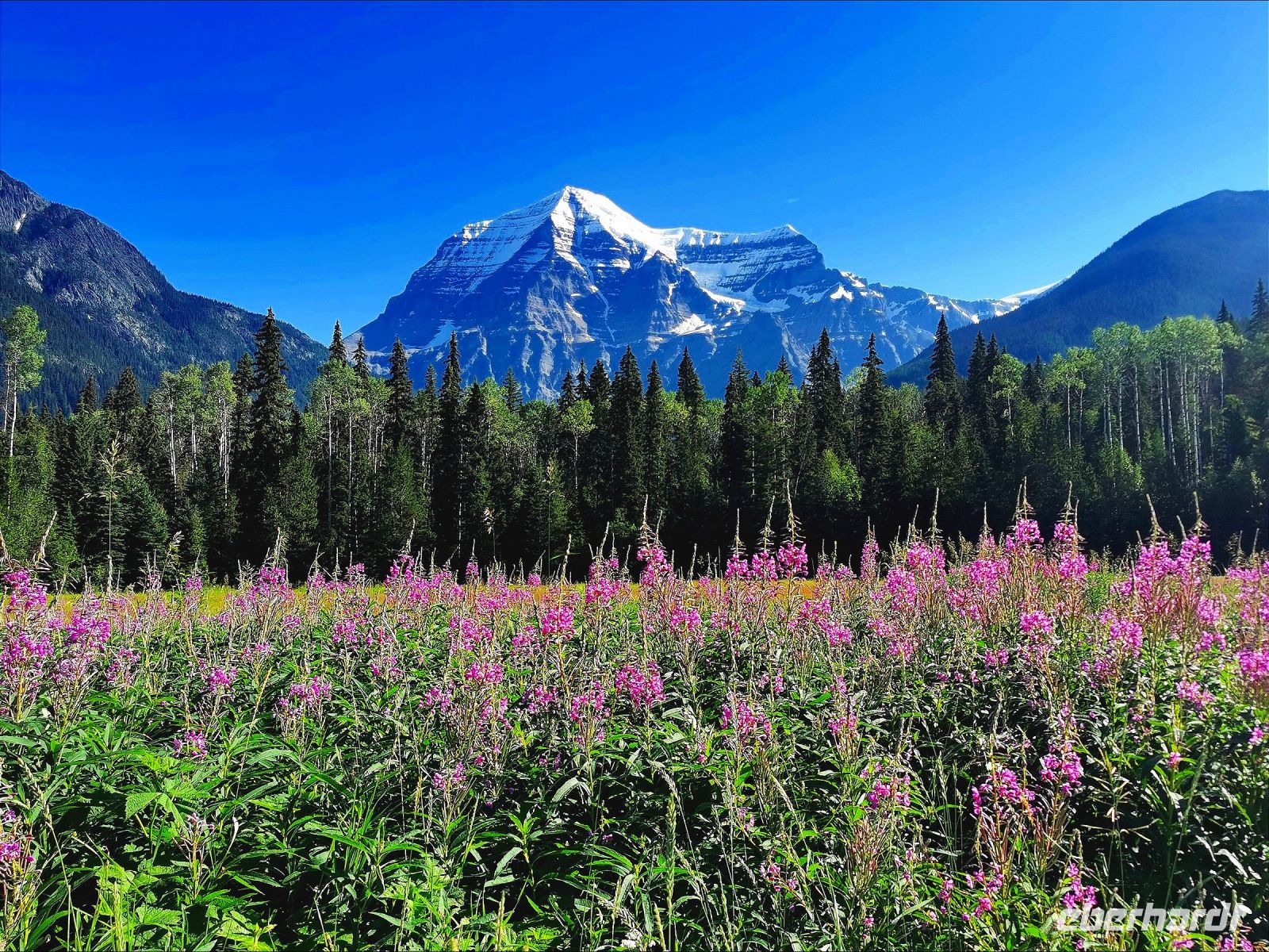 Mount Robson &ndash; &copy; Simone Willner (Eberhardt TRAVEL)